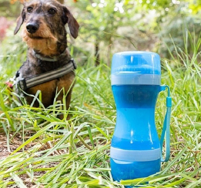 sticla portabila pentru hrana si apa 300 ml albastru 1