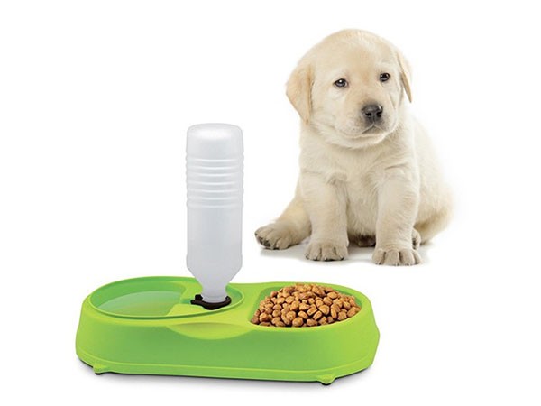 bol de mancare cu adapator pentru animale de companie 2