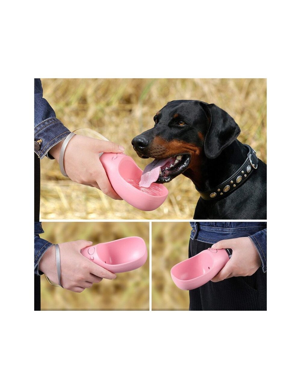 castron portabil cu sticla de apa pentru animale de companie gonga 4