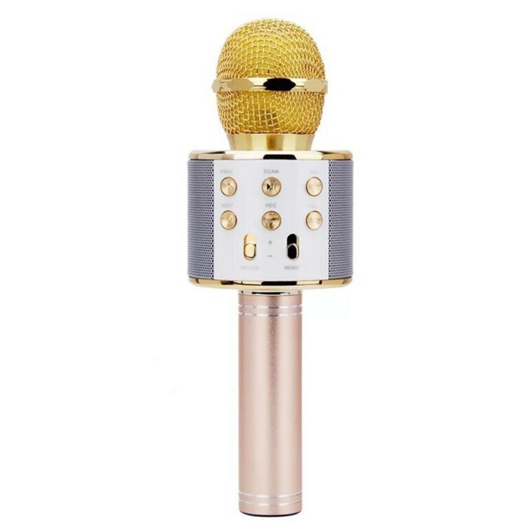 microfon karaoke wireless boxa incorporata egalizator reincarcabil rotosonic 1