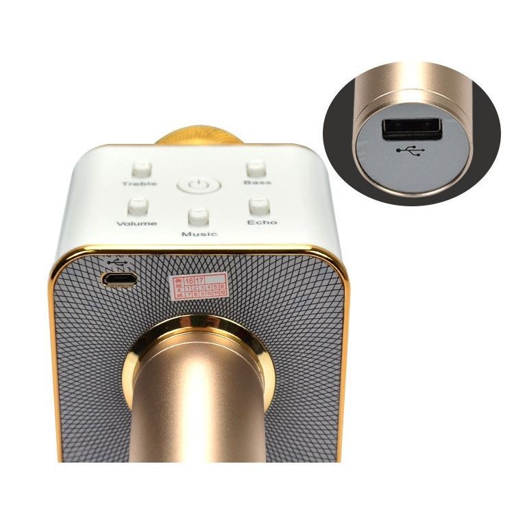 microfon karaoke wireless cu boxa incorporata auriu gonga 1