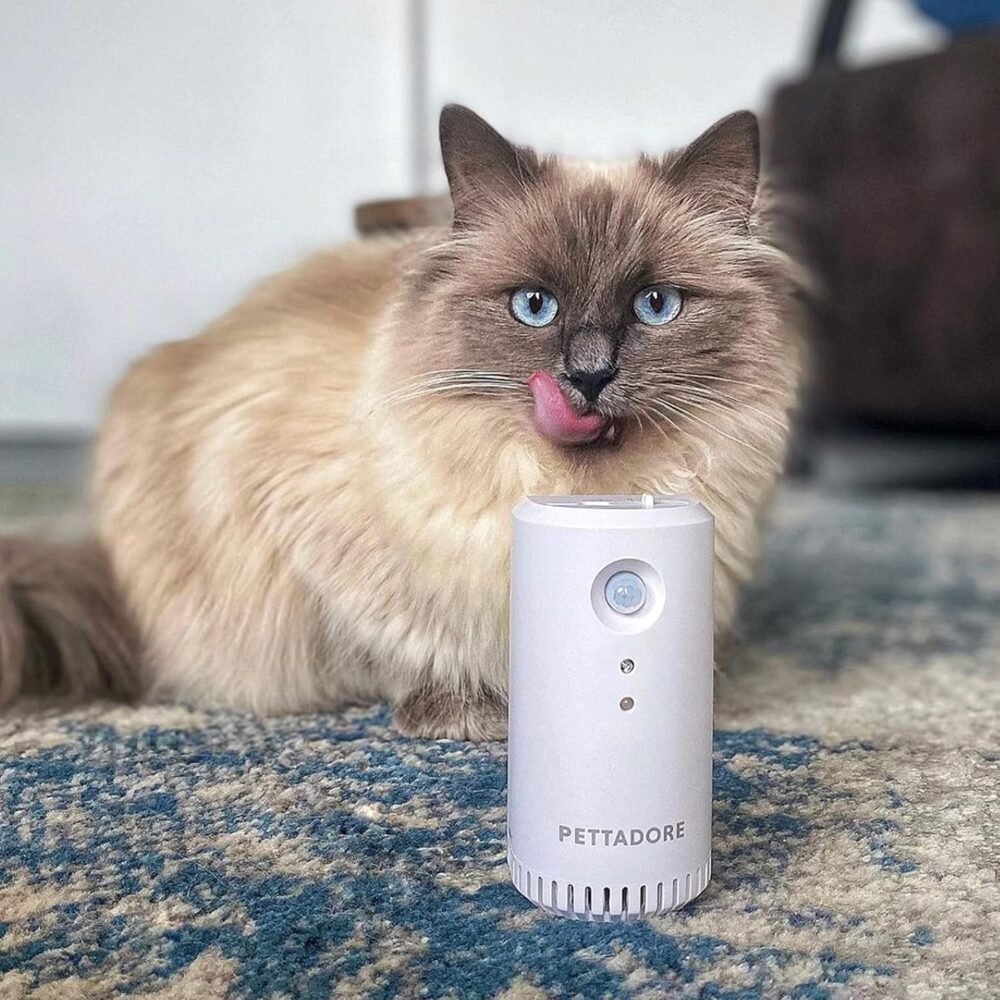 purificator de aer smart petoneer odor eliminator pentru animale detectare ir baterie 2200 mah micro usbgonga 1
