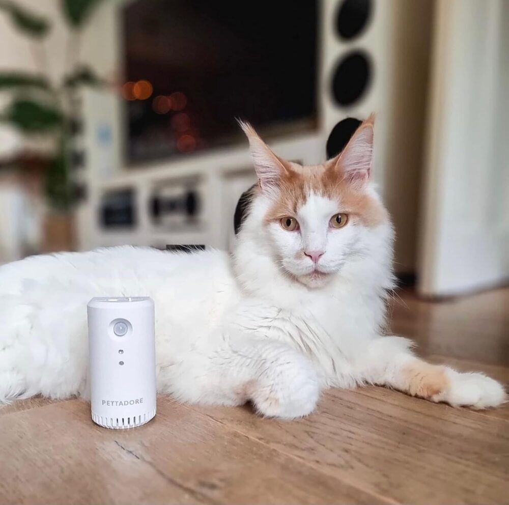 purificator de aer smart petoneer odor eliminator pentru animale detectare ir baterie 2200 mah micro usbgonga