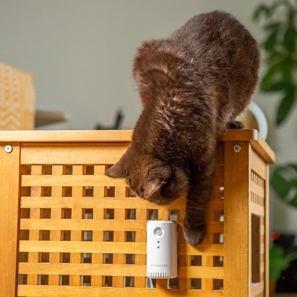 purificator de aer smart petoneer odor eliminator pentru animale detectare ir baterie 2200 mah micro usbgonga 2