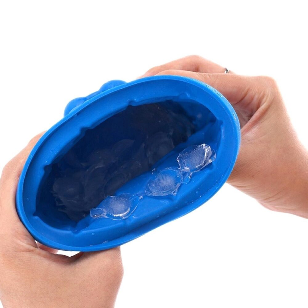 recipeint pentru pastrarea ghetii din silicon gonga 4