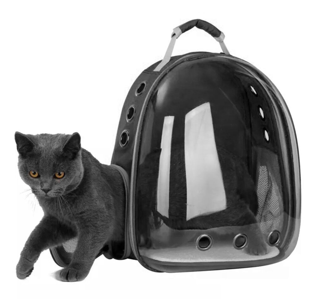 rucsac transport animale de companie tip panoramic spate extensibil gonga 15