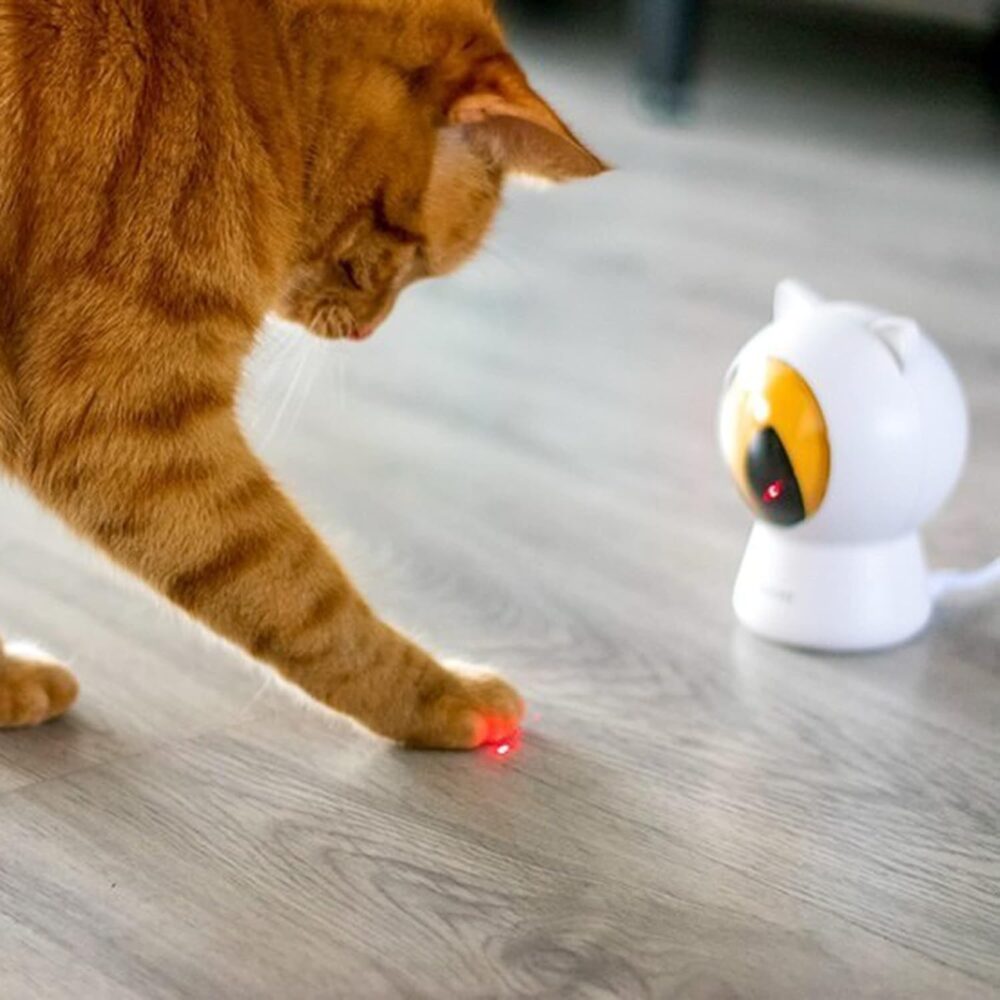 ucarie laser petoneer smart dot inteligenta pentru caini i pisici model ochi gonga 1