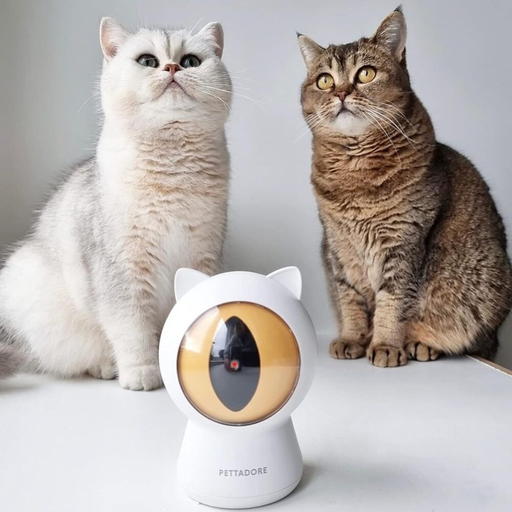 ucarie laser petoneer smart dot inteligenta pentru caini i pisici model ochi gonga