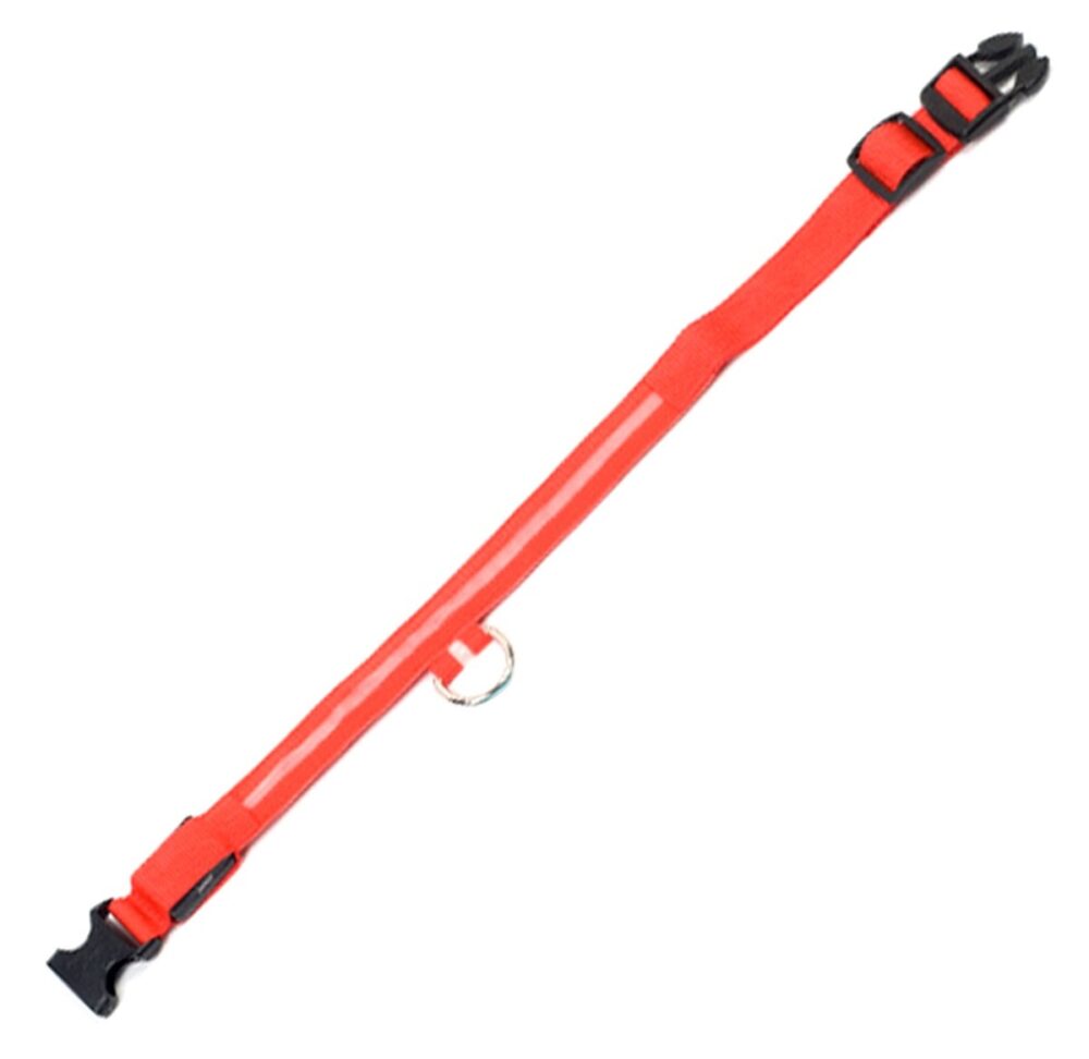 zgarda pentru catei cu lumini led marimea l 3